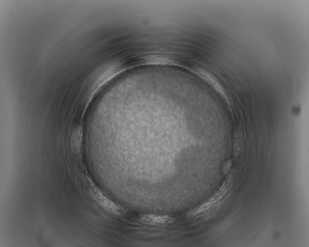 X0000095950831200801181420