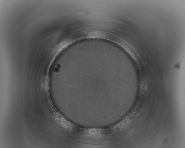 X0000095950832200801181420