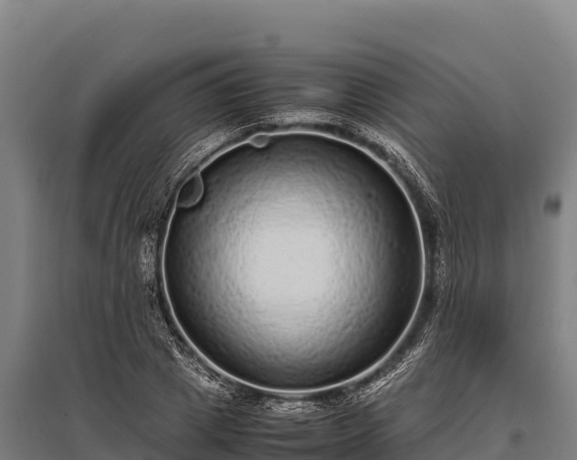 X0000095950833200801181420