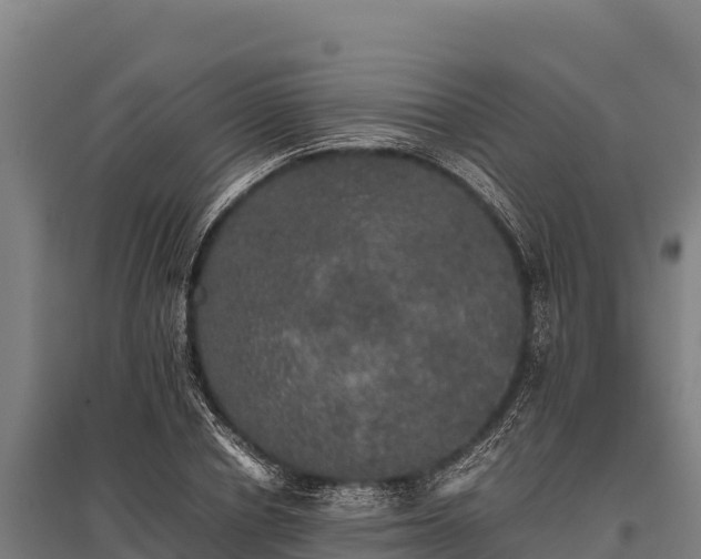 X0000095950834200801181420