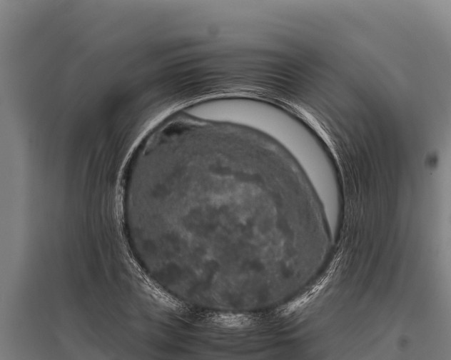 X0000095950835200801181420