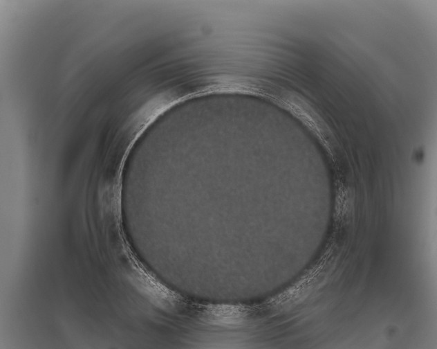 X0000095950836200801181420