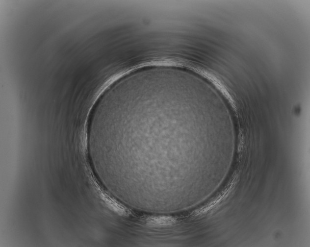 X0000095950837200801181420