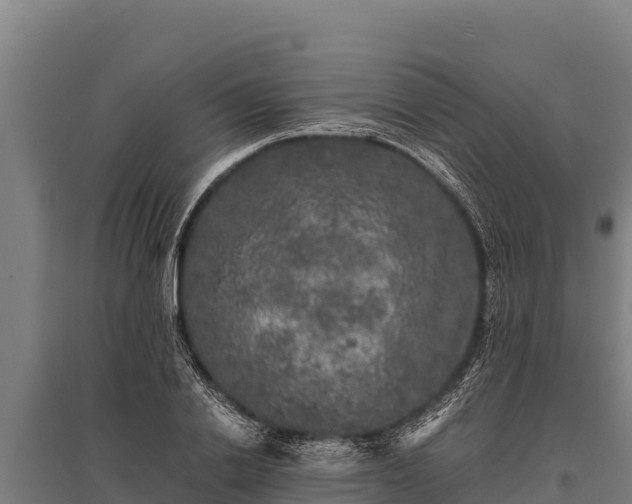 X0000095950838200801181420