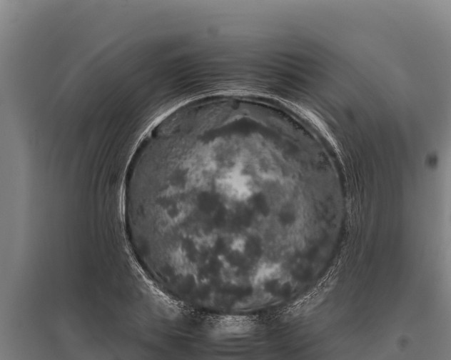 X0000095950839200801181420