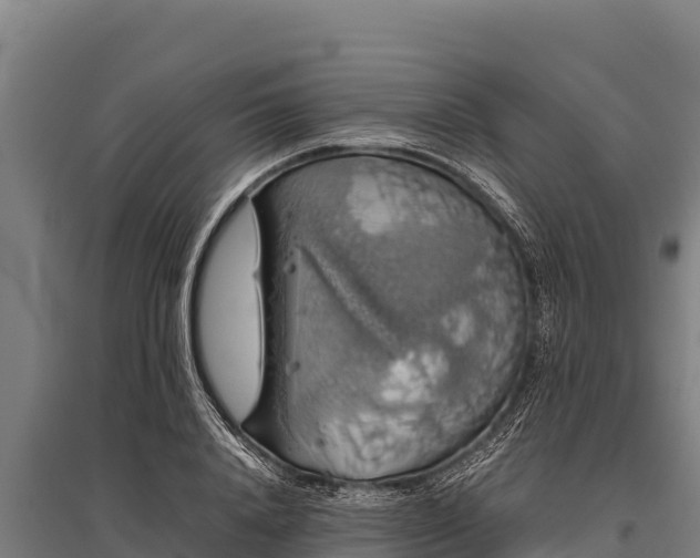 X0000095950840200801181420