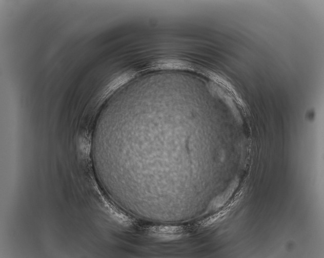 X0000095950841200801181420