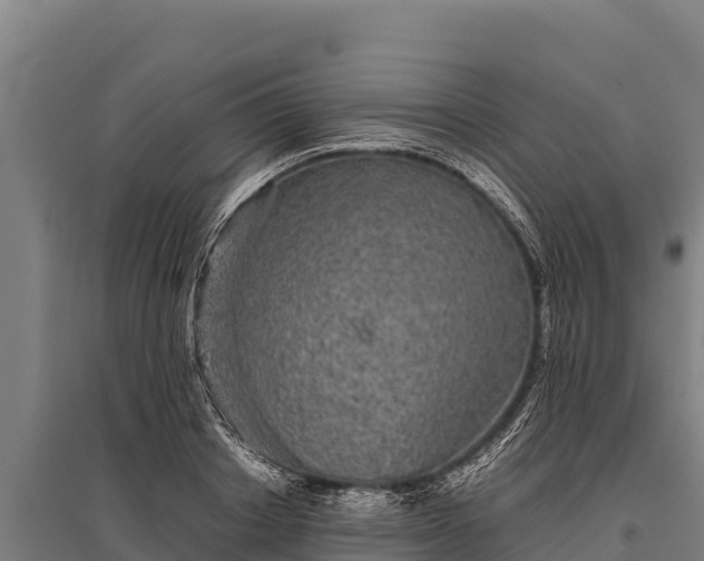 X0000095950842200801181420