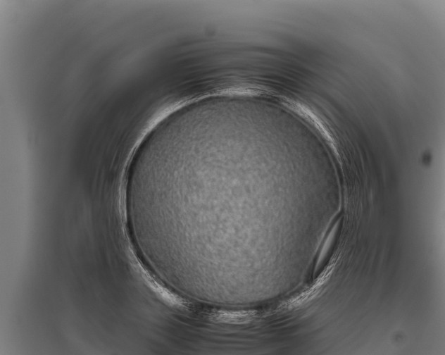 X0000095950843200801181420