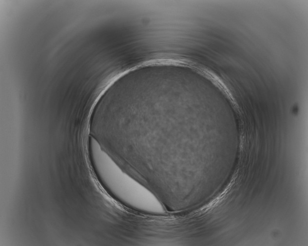 X0000095950844200801181421