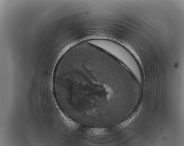 X0000095950845200801181421