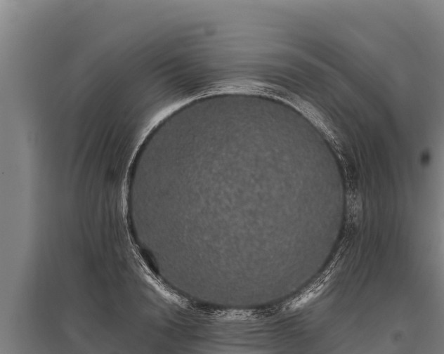 X0000095950846200801181421