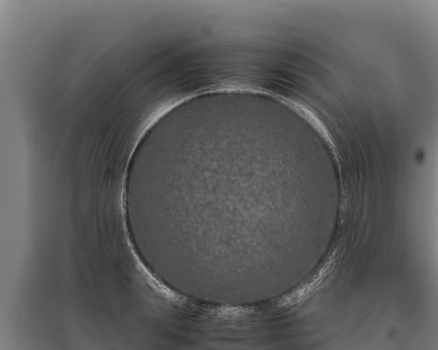 X0000095950847200801181421