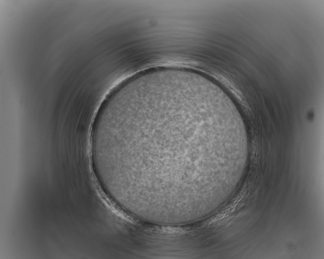 X0000095950848200801181421