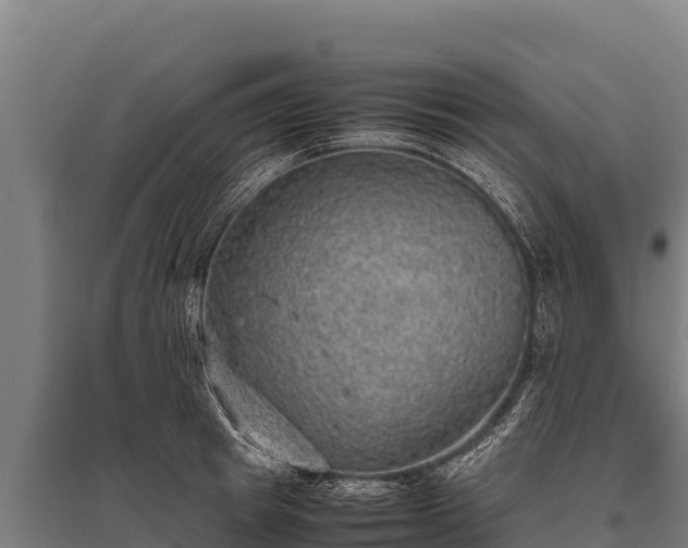 X0000095950849200801181421