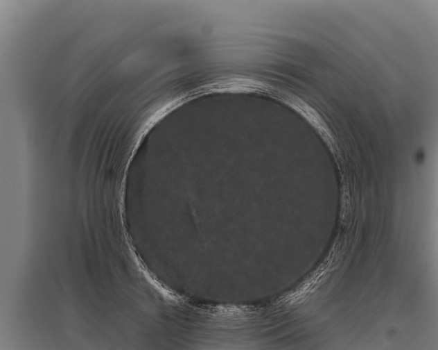 X0000095950850200801181421