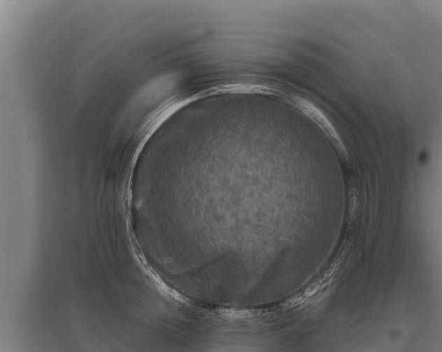 X0000095950852200801181421