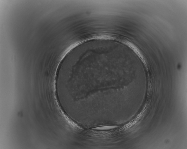 X0000095950853200801181421