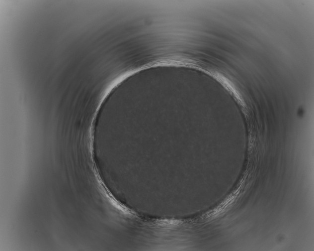 X0000095950854200801181421