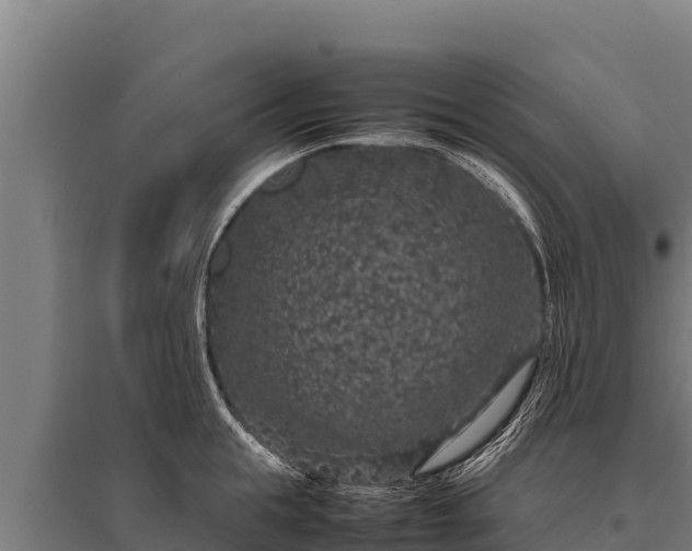 X0000095950855200801181421