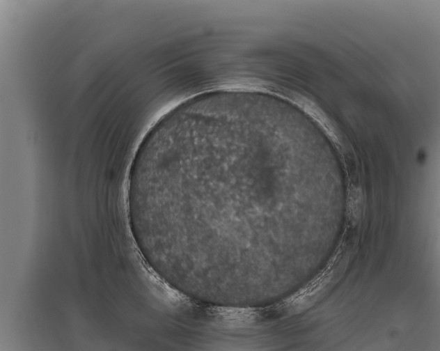 X0000095950856200801181421