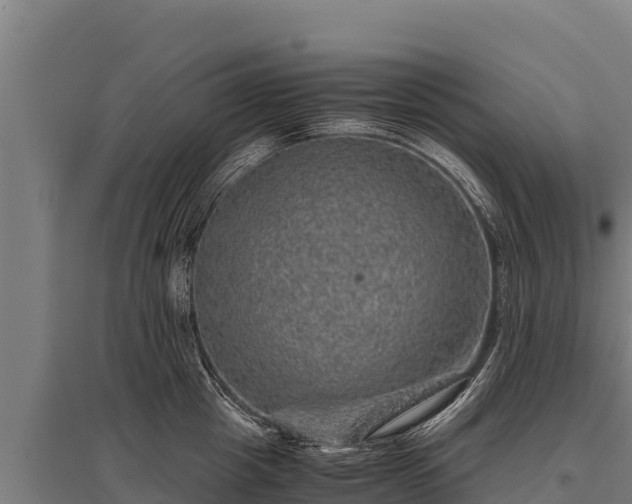 X0000095950857200801181421