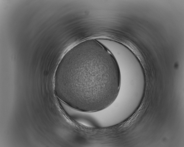 X0000095950858200801181421