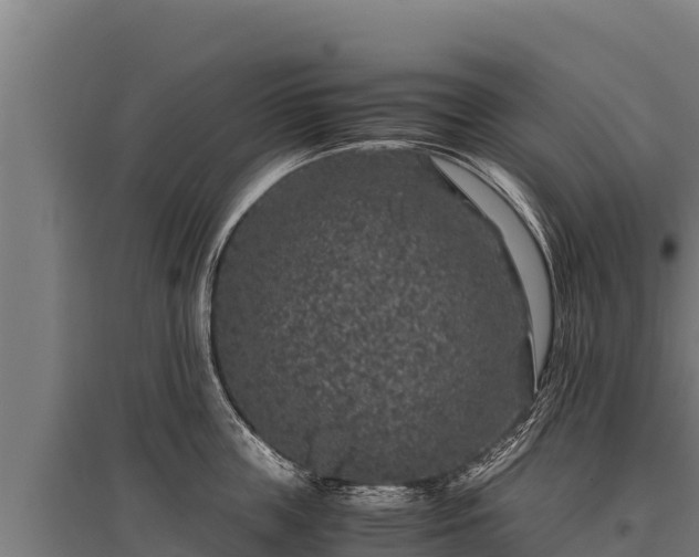 X0000095950859200801181421