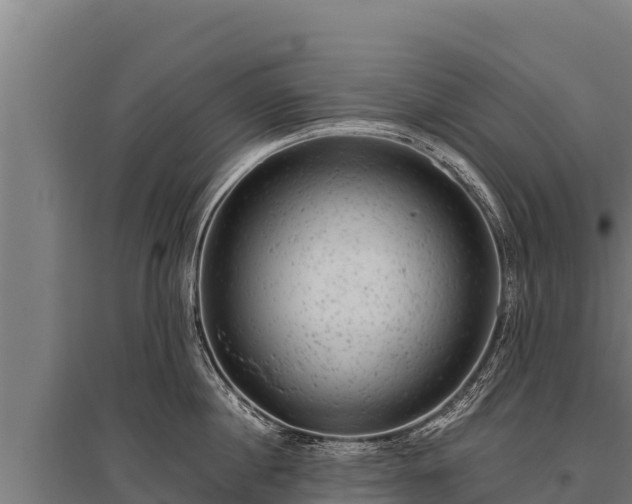 X0000095950860200801181421