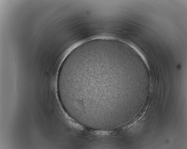 X0000095950861200801181421