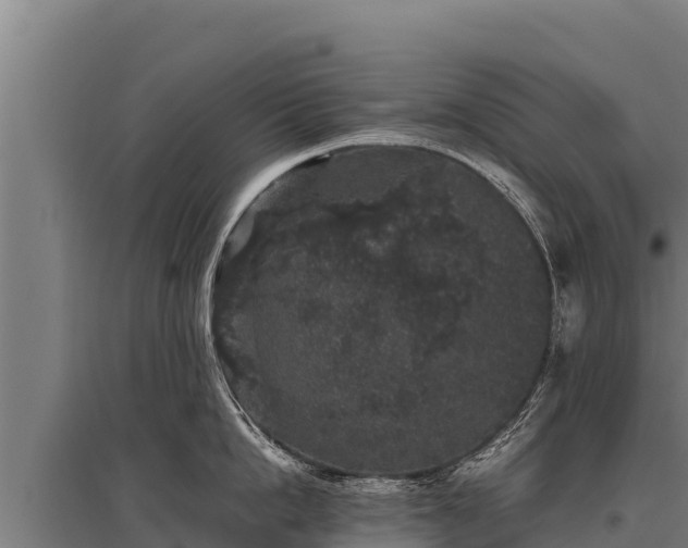 X0000095950862200801181421