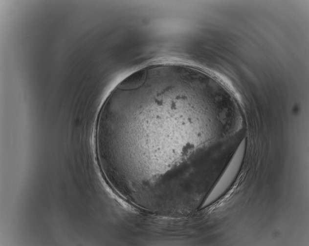 X0000095950863200801181421