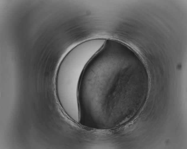 X0000095950864200801181421