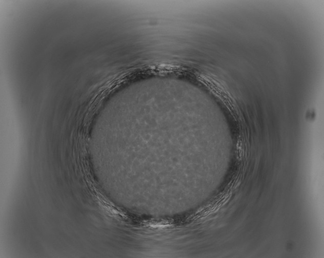 X0000095950865200801181420