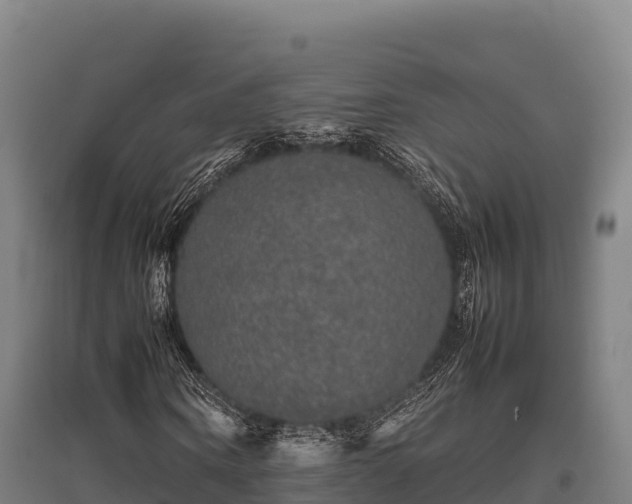 X0000095950866200801181420