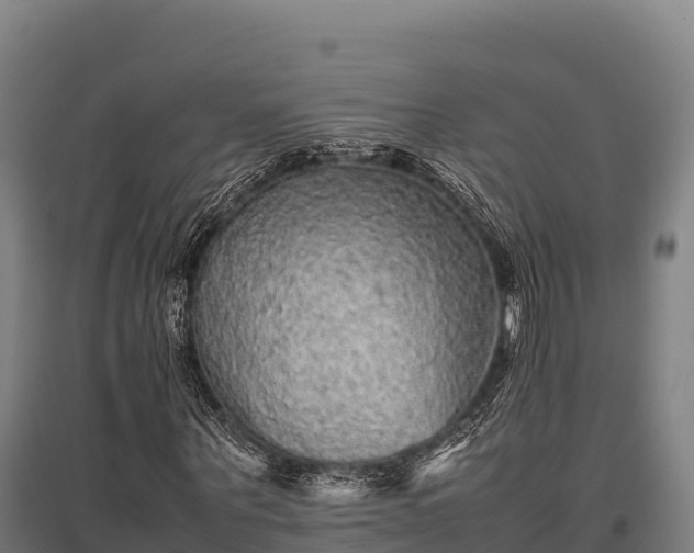 X0000095950867200801181420