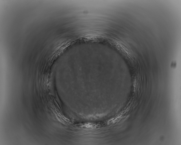 X0000095950868200801181420