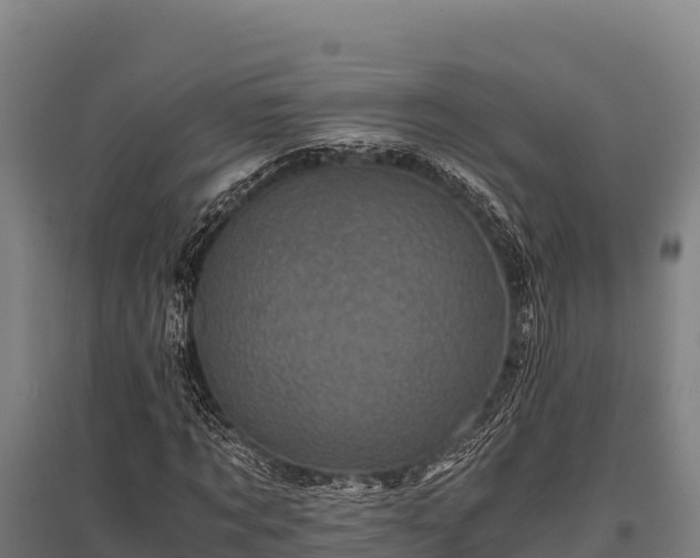 X0000095950869200801181420