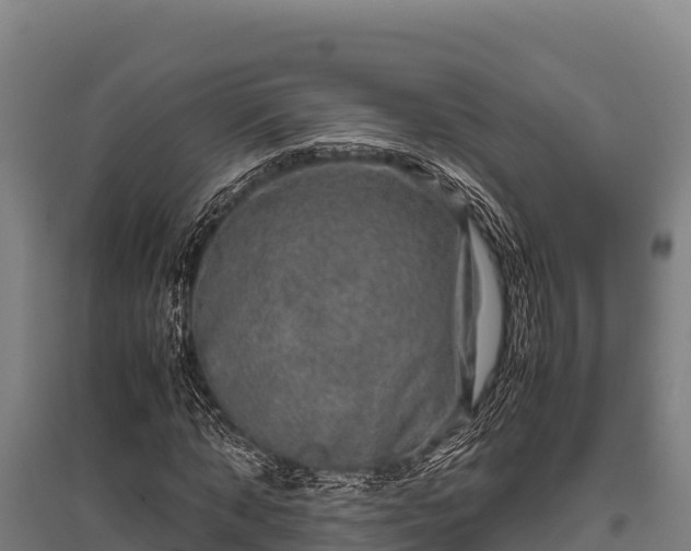 X0000095950870200801181420