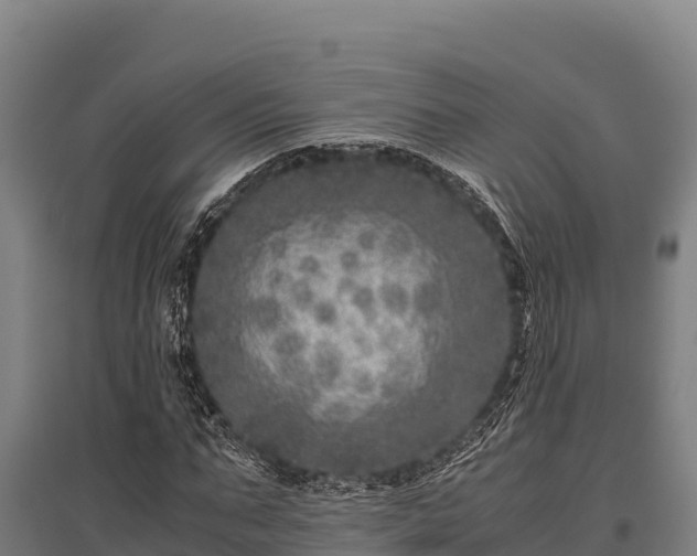 X0000095950871200801181420