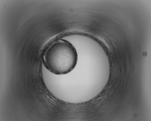 X0000095950872200801181420