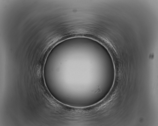 X0000095950873200801181420