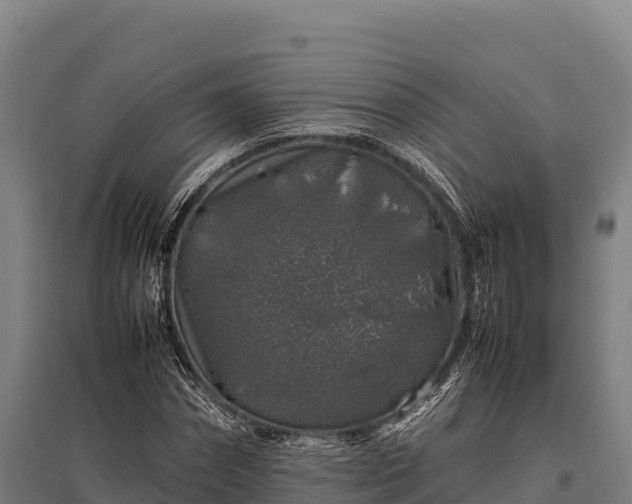 X0000095950874200801181420