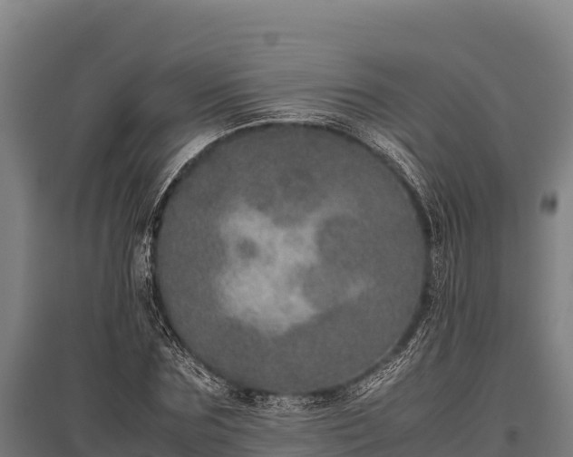 X0000095950875200801181420