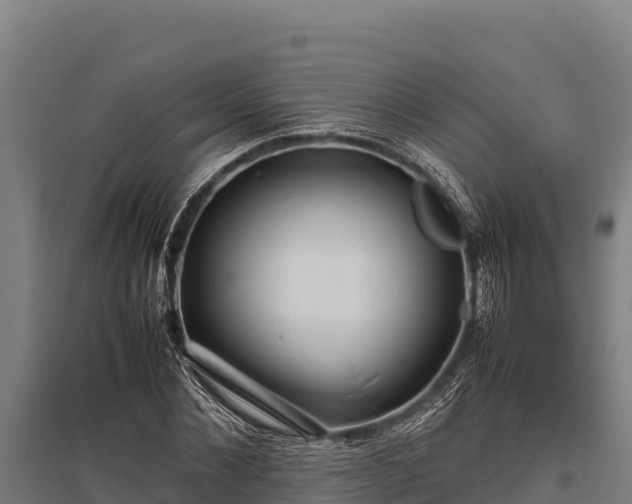 X0000095950876200801181420