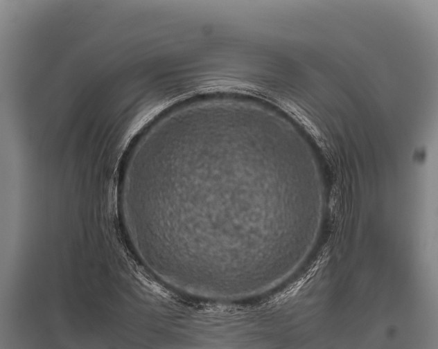 X0000095950877200801181420