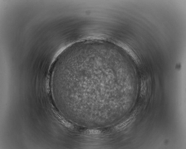 X0000095950878200801181420