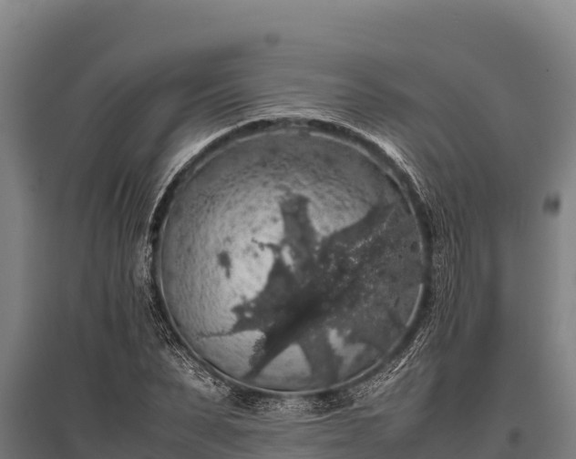 X0000095950879200801181420