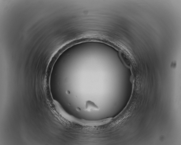 X0000095950880200801181420