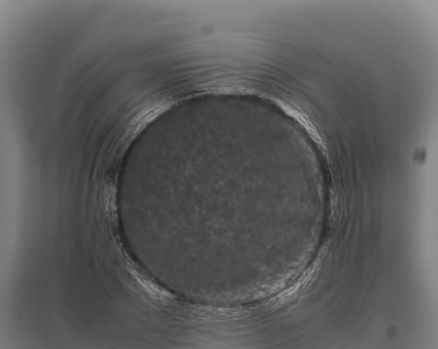 X0000095950881200801181420